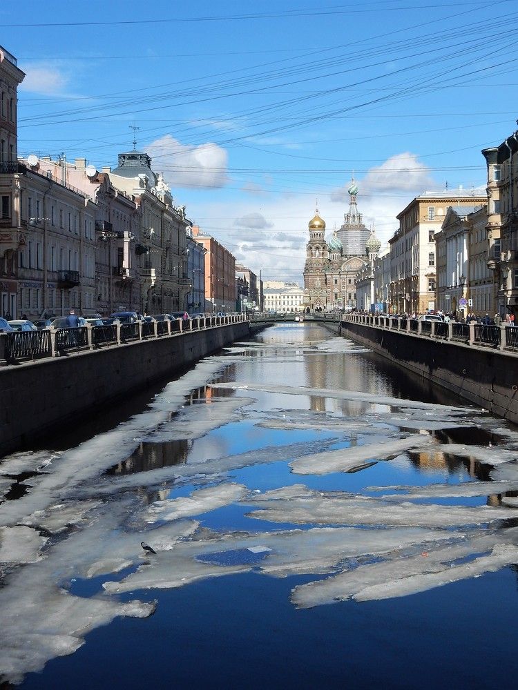 Photograph by Елена Гуляева