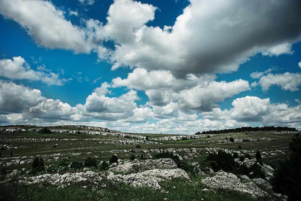 Photograph by Покровская Екатерина