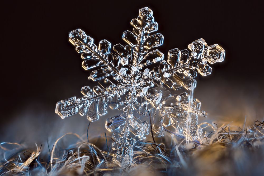 Tiny snowflake on woolen fabric