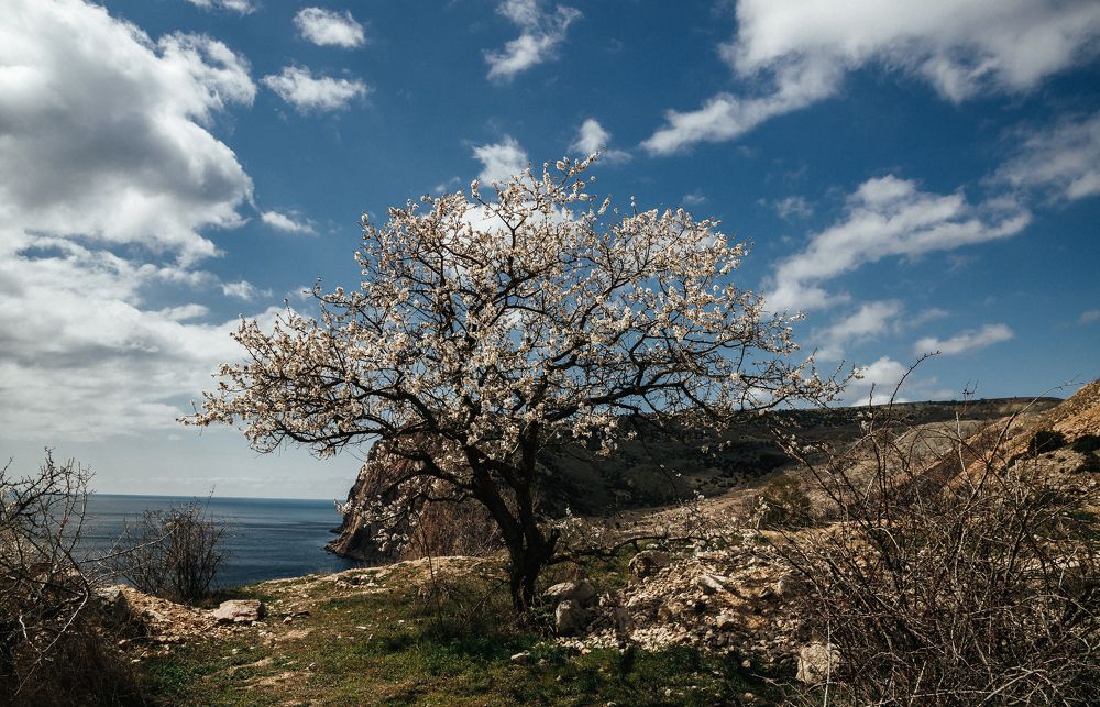 Photograph by Евгения Тагирова