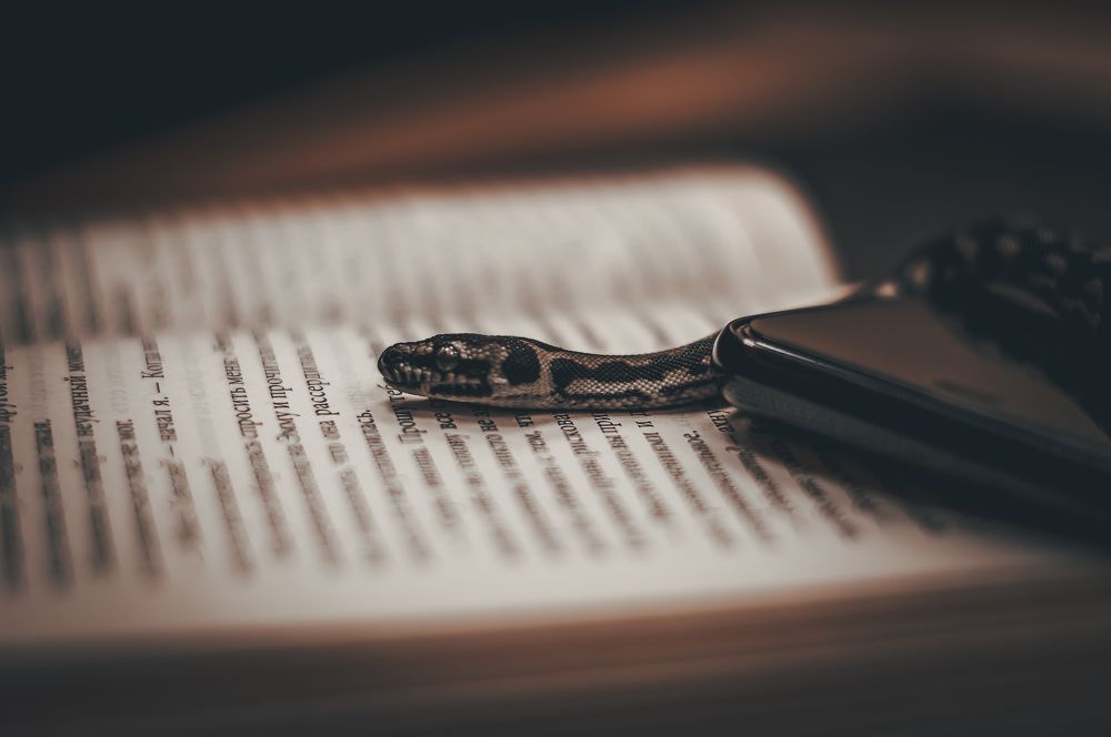 Змеиный Halloween