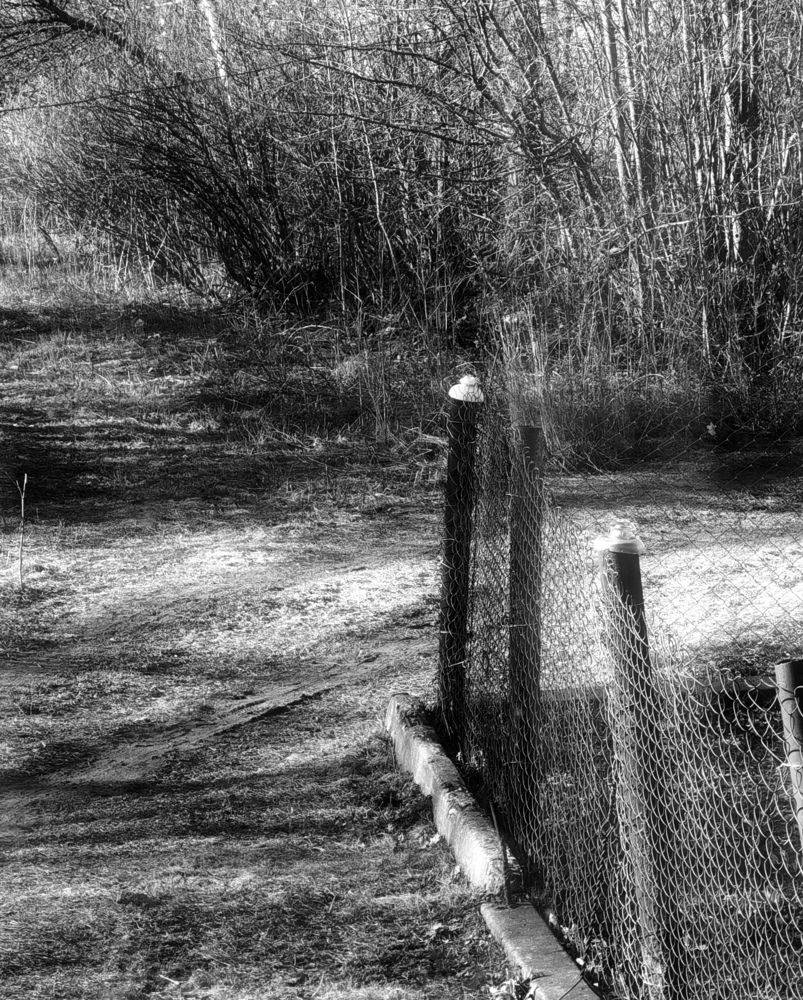 Spots of the sun on the ground.