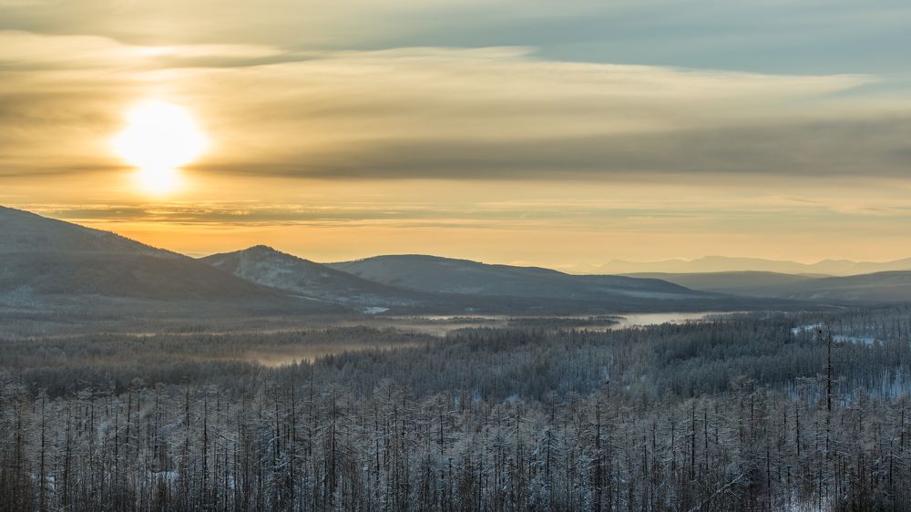 Photograph by Алексей Зайцев