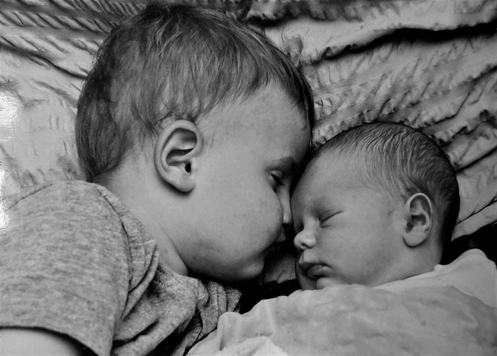 Сладкий  сон  !