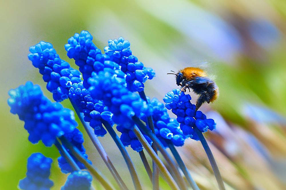 Photograph by Соколова Елена