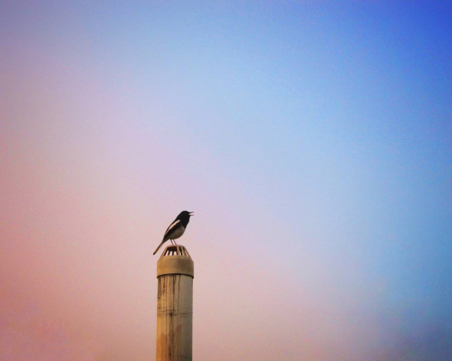 Ornaments of sky