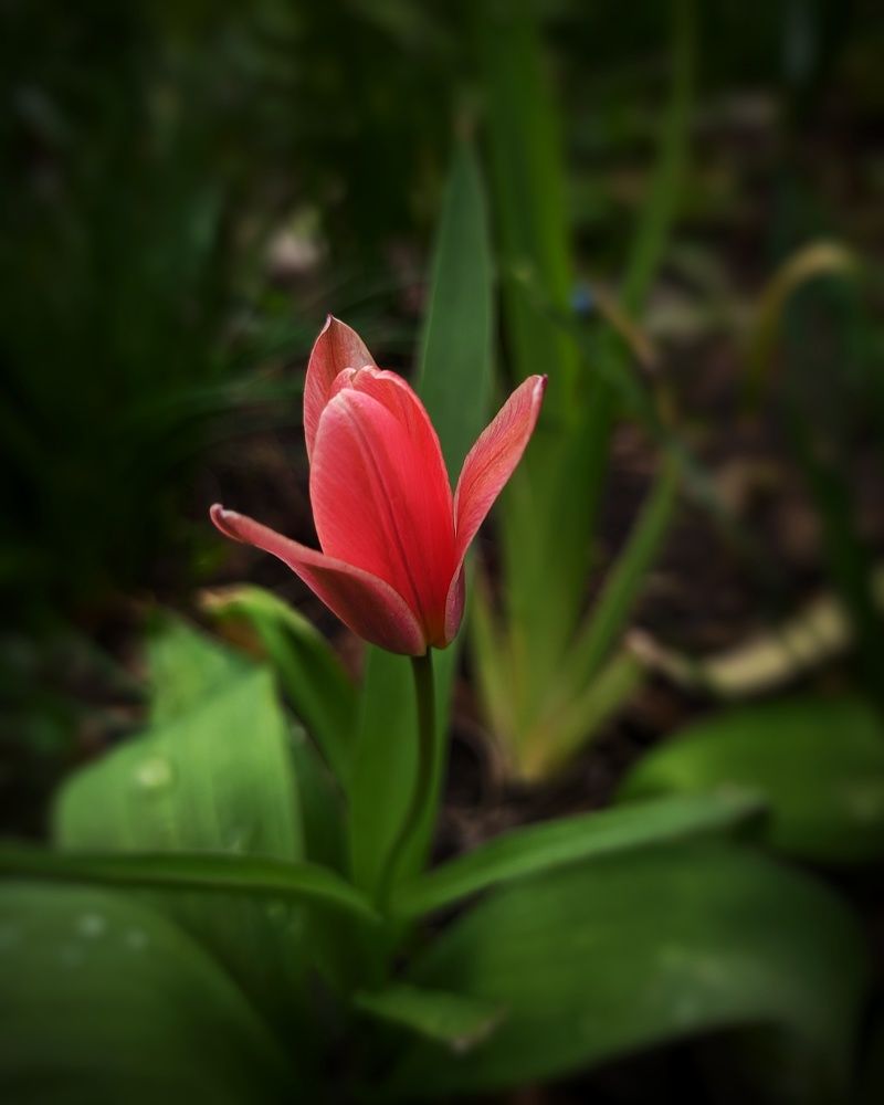 Фотография автора Наталья Синицына