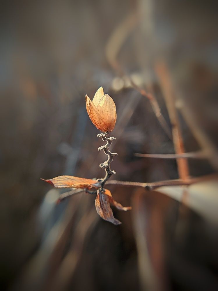 Фотография автора Наталья Синицына