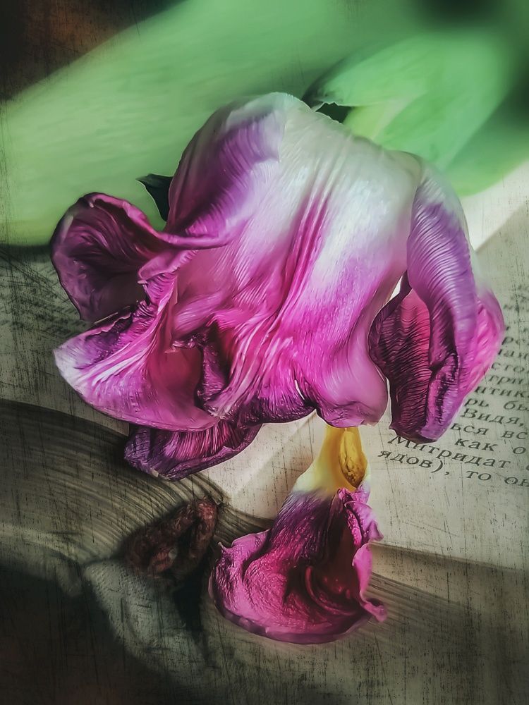 Photograph by Алексей Копылов