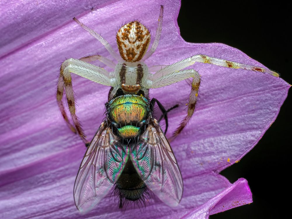 Photograph by Chris Bratcher