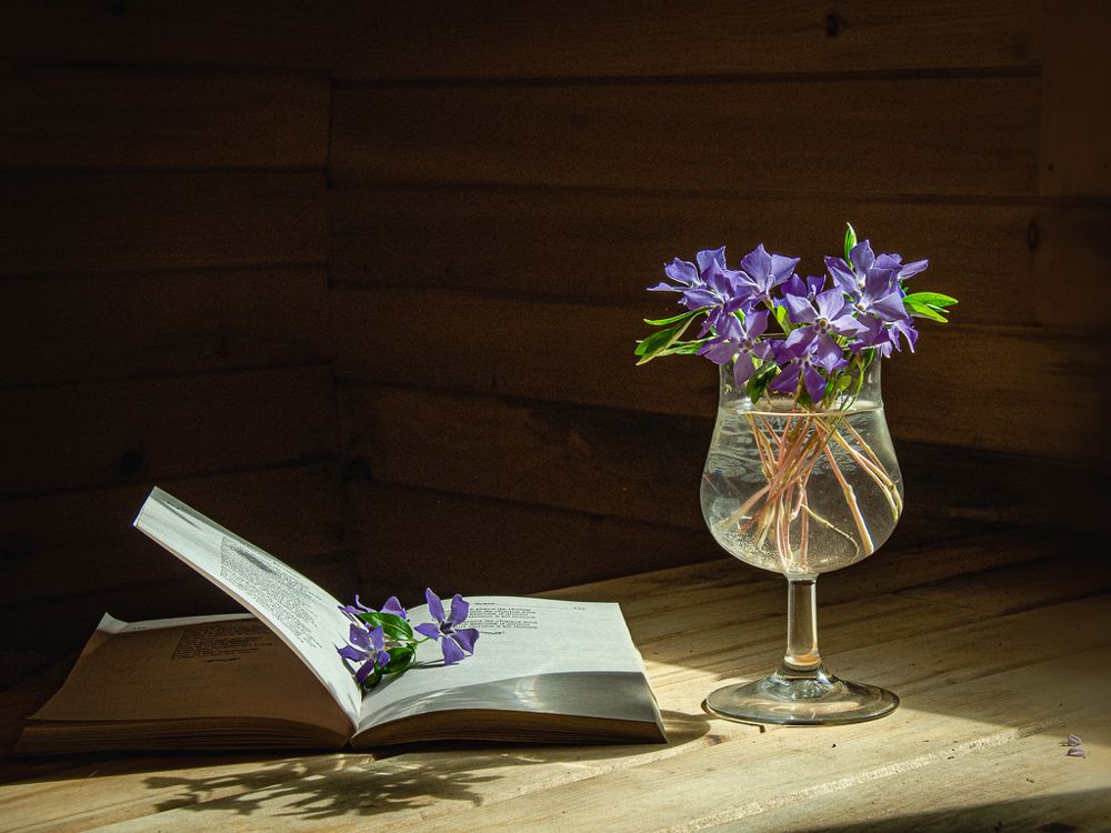 Photograph by LYUDMYLA POKRYSHEN