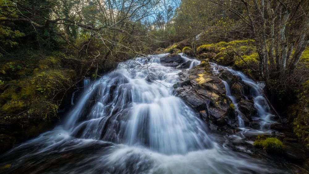 Photograph by Damian Varela