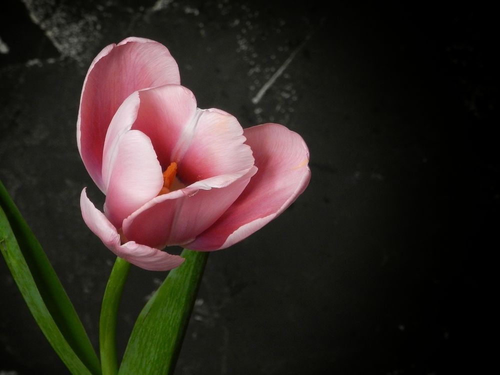 Photograph by Katerina Akalifa