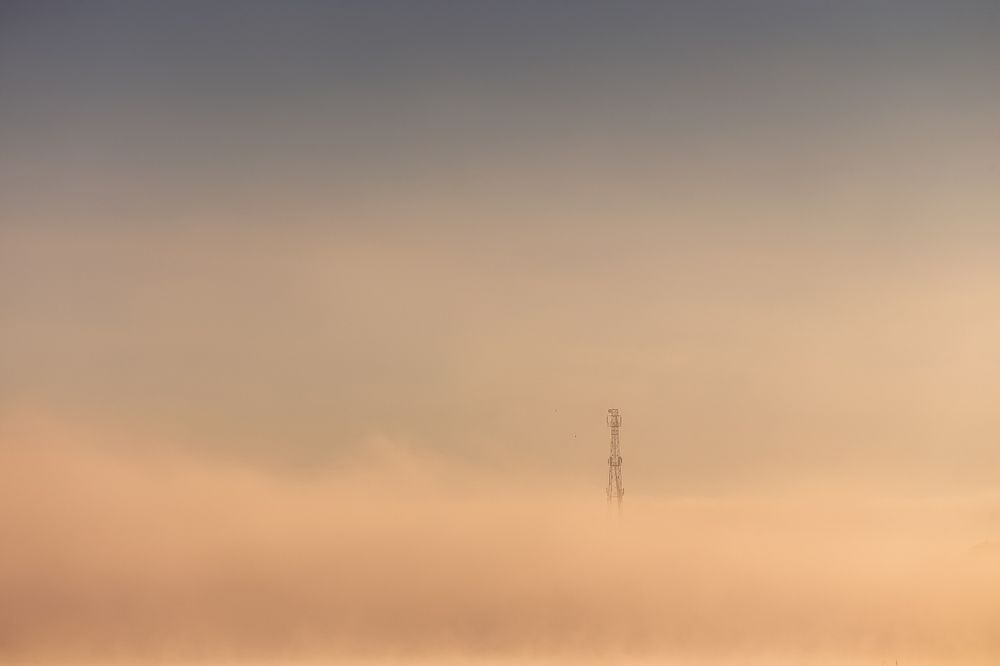 Фотография автора Татьяна Афиногенова