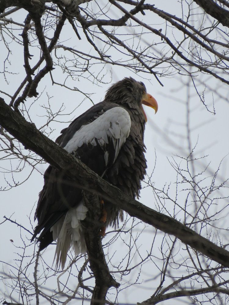 Photograph by Ольга Панкова
