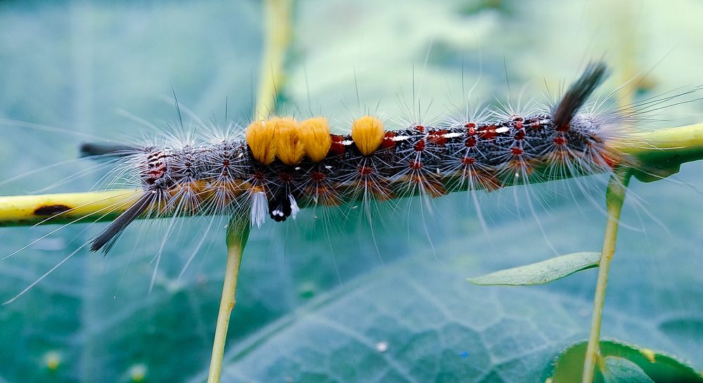 Photograph by Feri Fikri