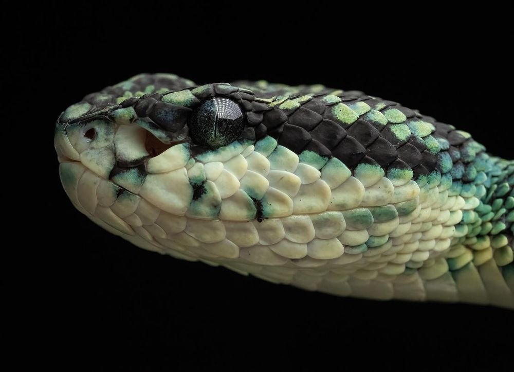 Photograph by Olivia Lundborg