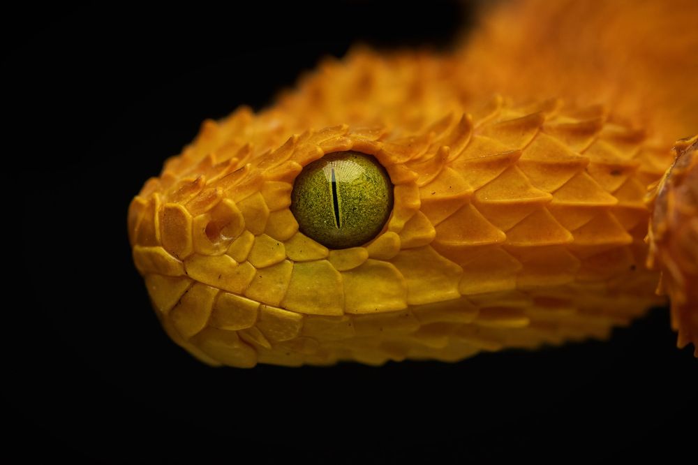 Photograph by Olivia Lundborg