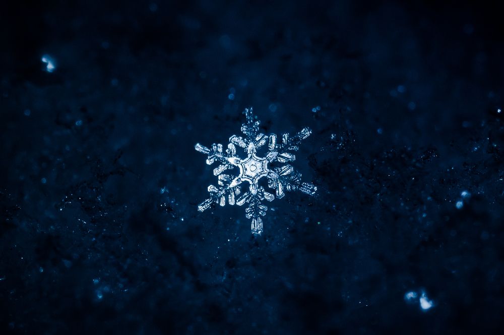 Photograph by Владислав Грибов