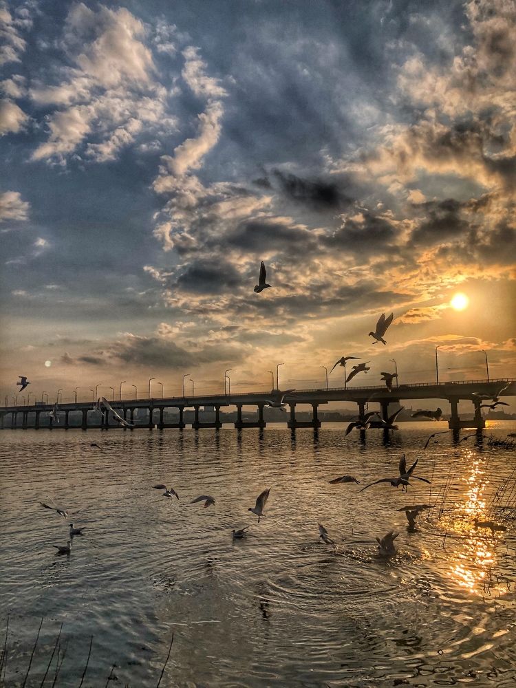 Photograph by OLga Bondarenko