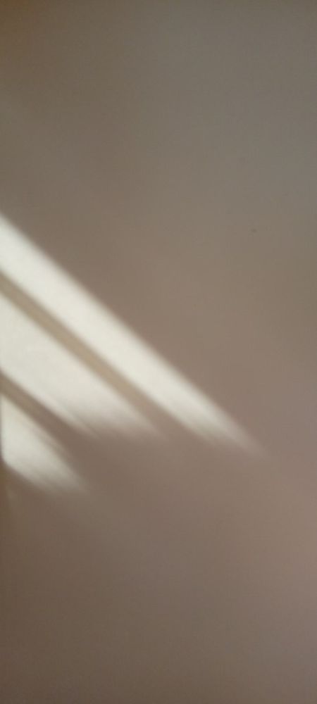 Photo #6013654