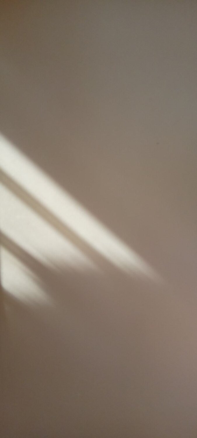Photo #6013654