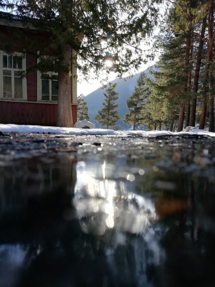 Photograph by Светлана Орехова