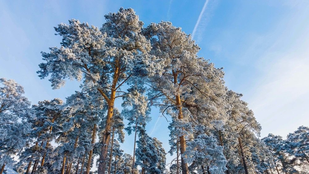 Photograph by Евгений Попов