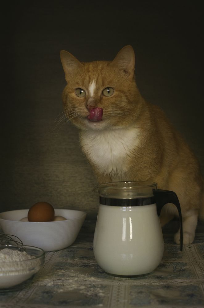 Photograph by Людмила Зяблова