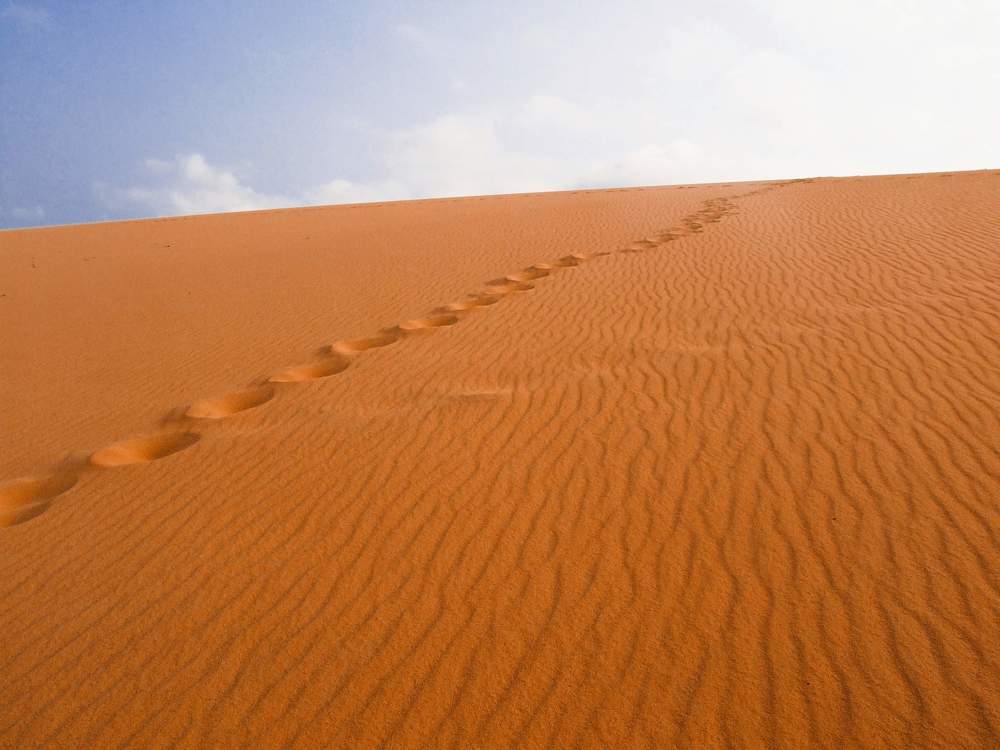 Photograph by Nina Znidersic