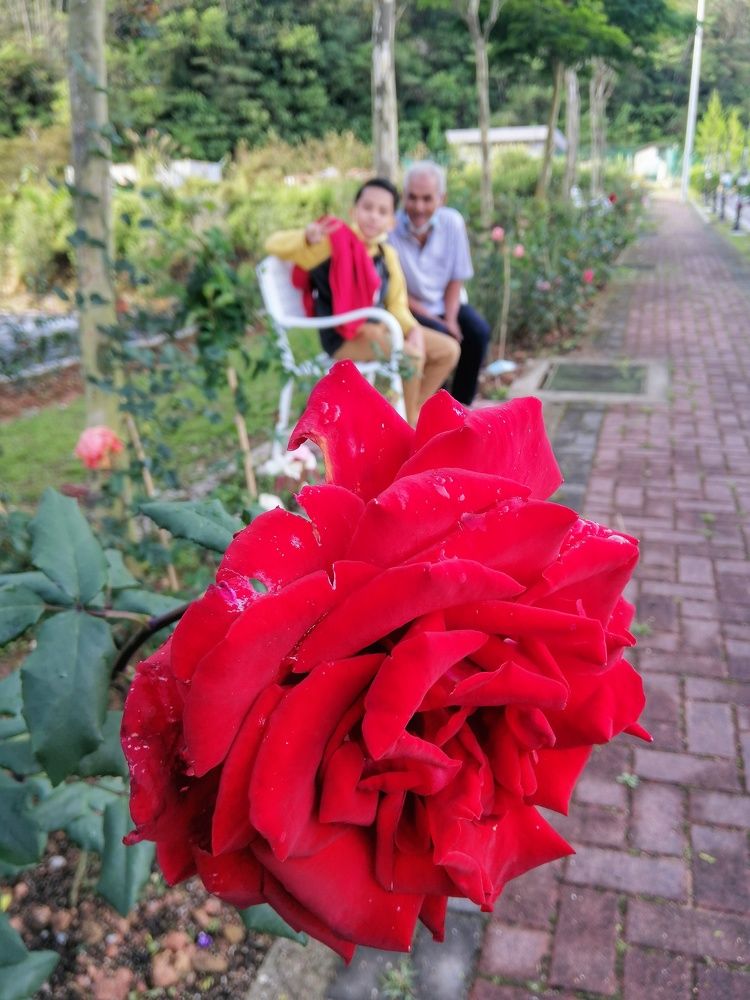 My father and my nephew