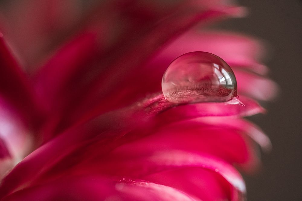 Photograph by БОРИС БЕЛКАНИЯ