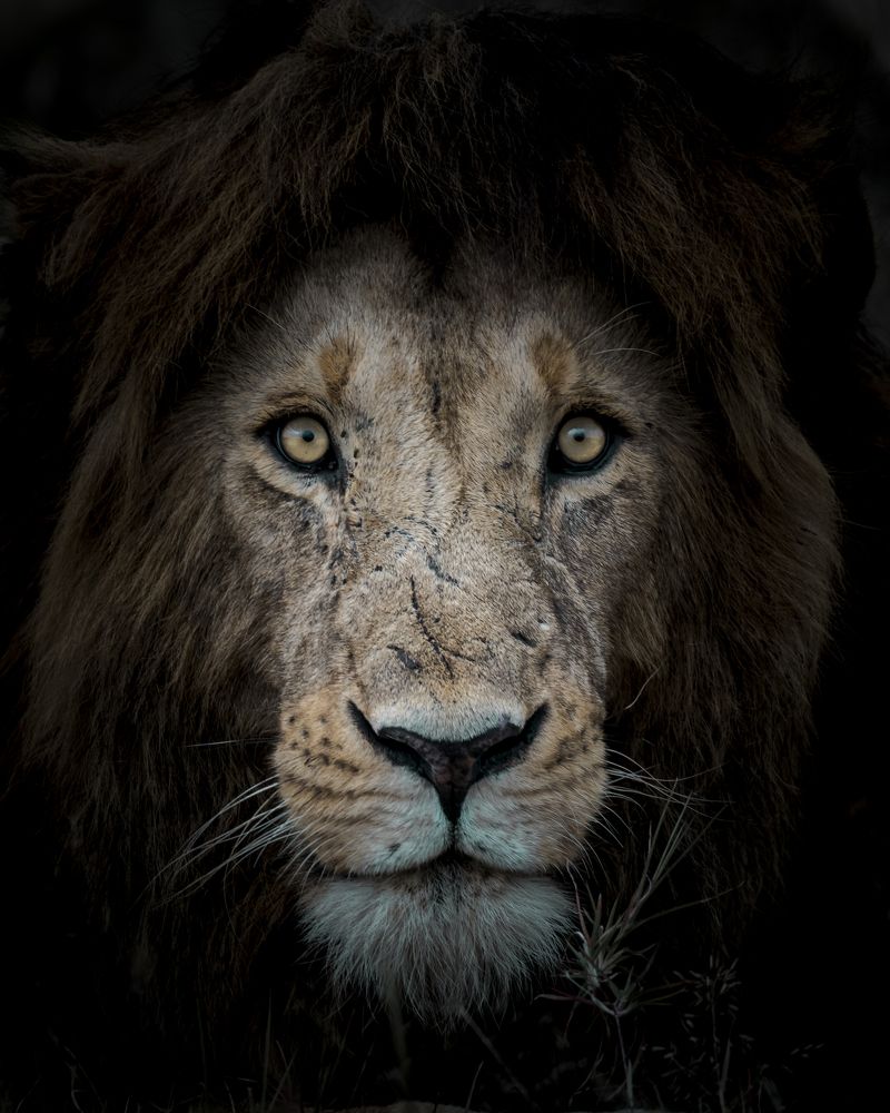 Photograph by Vignesh Ramachandran