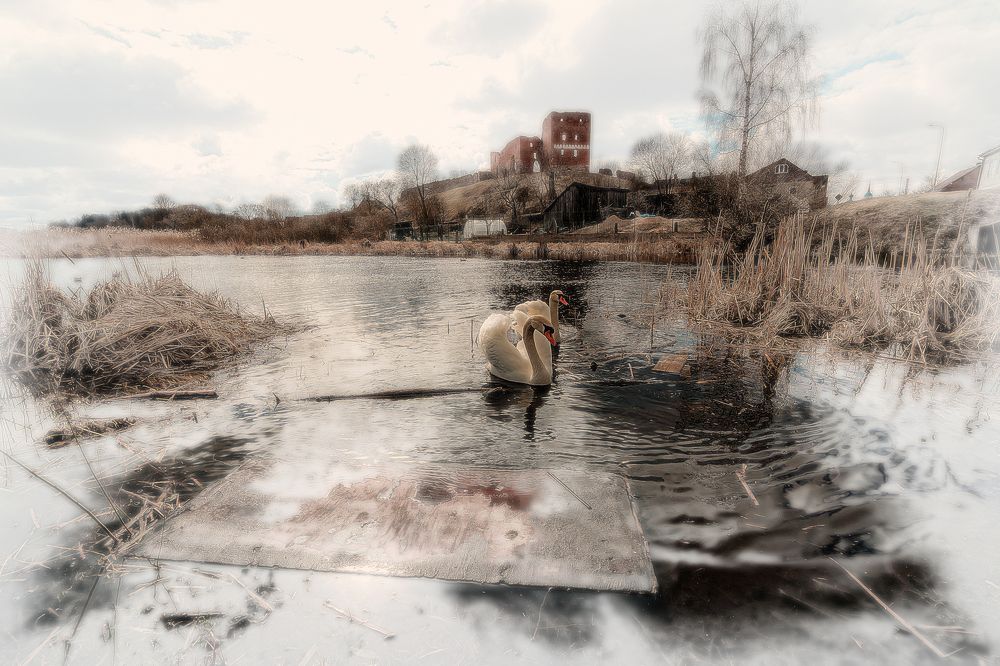 Photograph by Galina