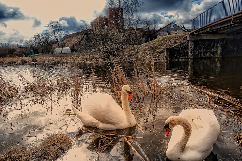 Photograph by Galina