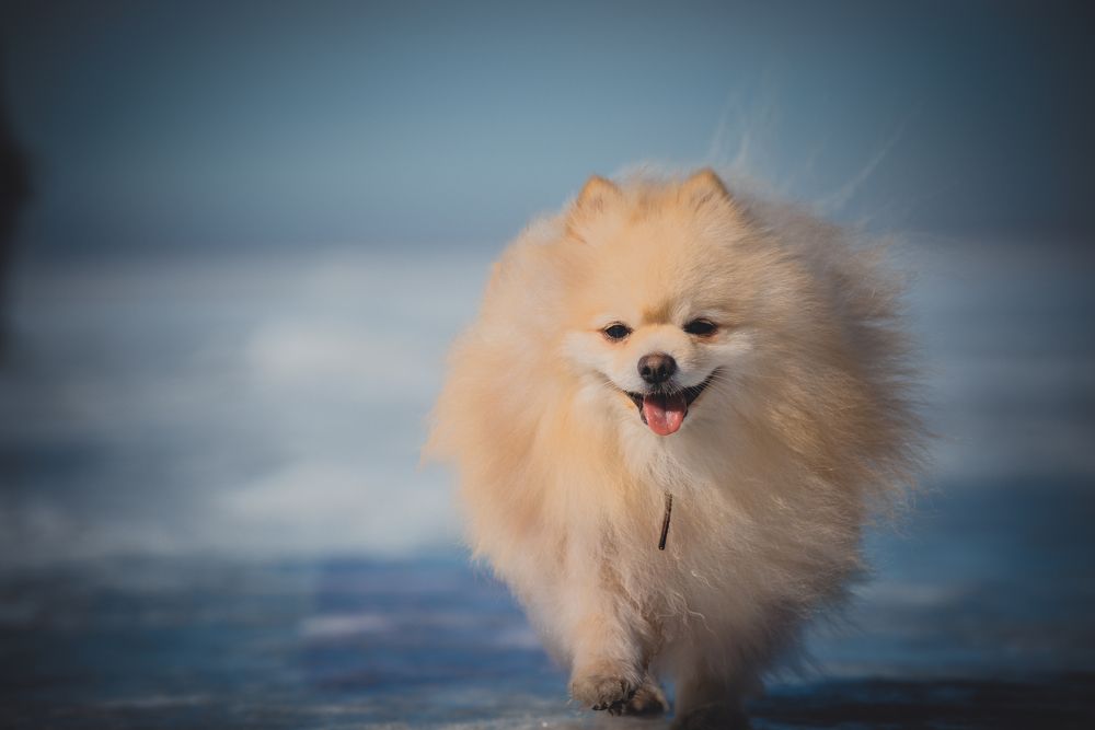 Photograph by Елена Прохорова