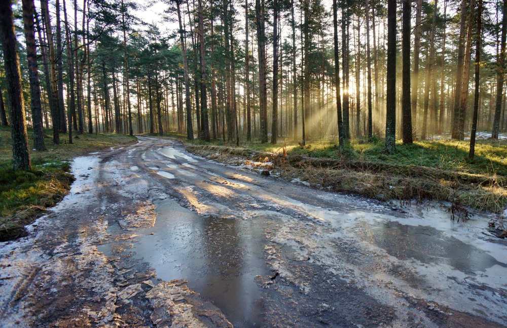 Photograph by Павел Васильев