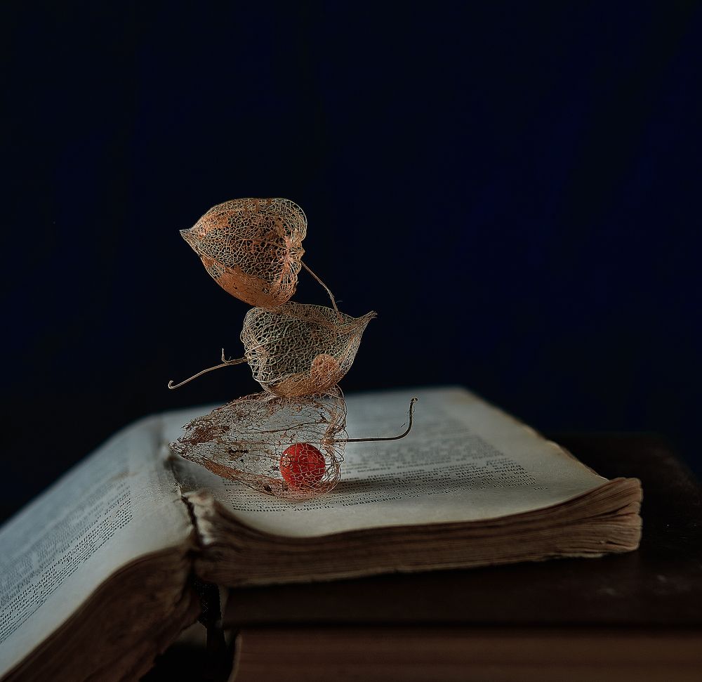 Photograph by Лариса Абрамова