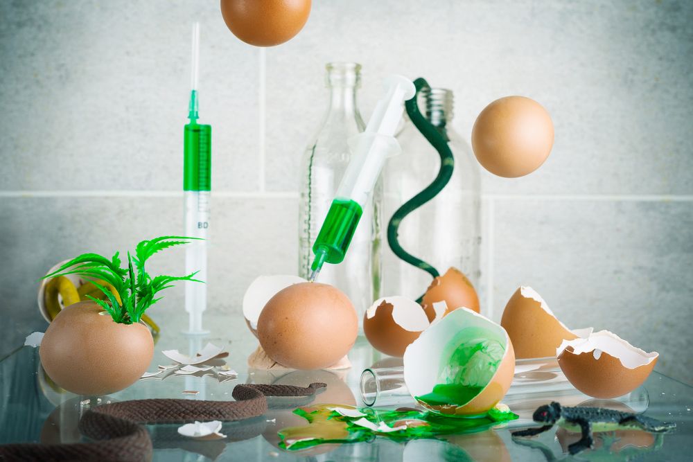 Новый Мир. Зарождение.