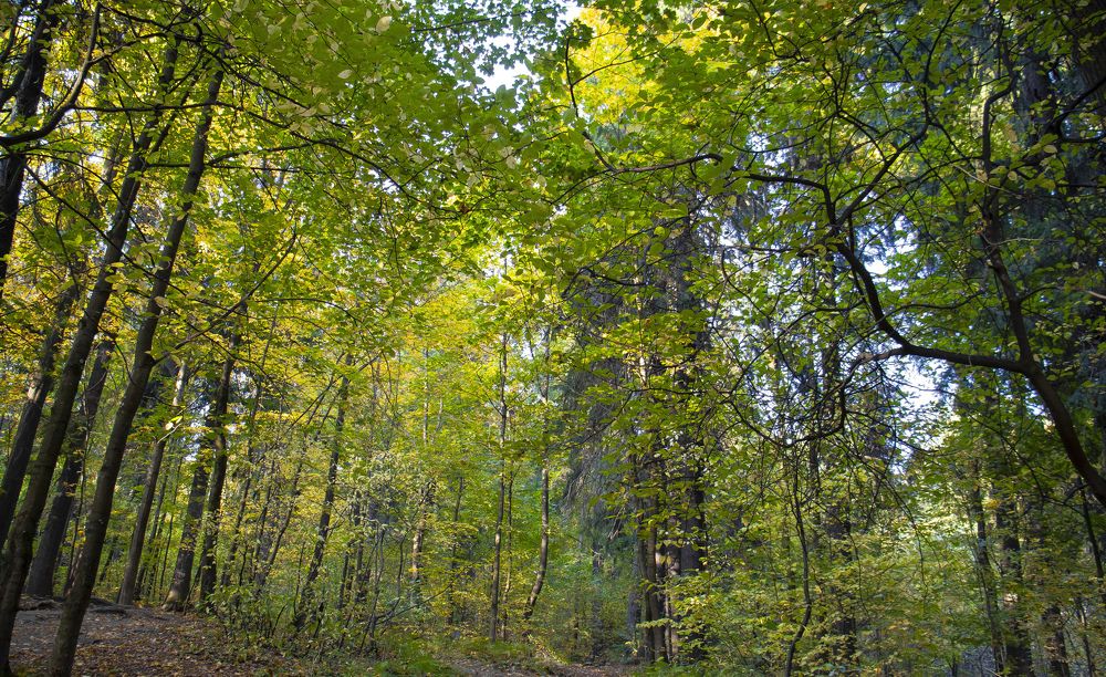 Photograph by Евгения Тагирова