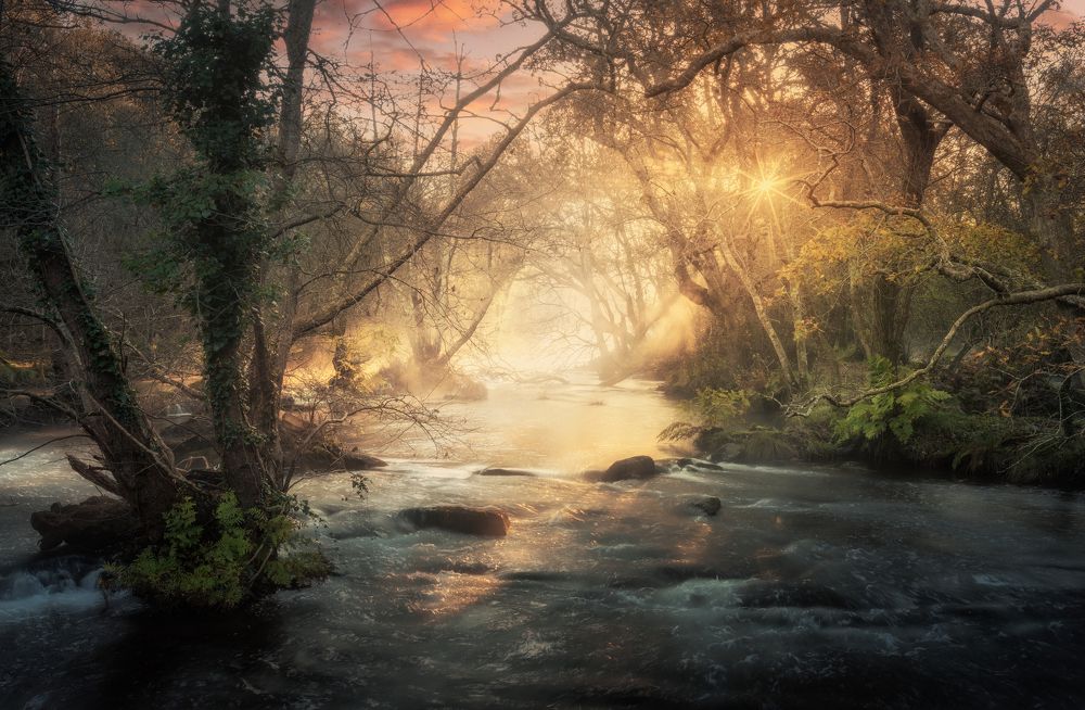 Photograph by Damian Varela