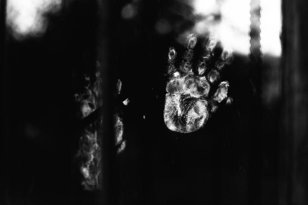 Photograph by Владислав Грибов