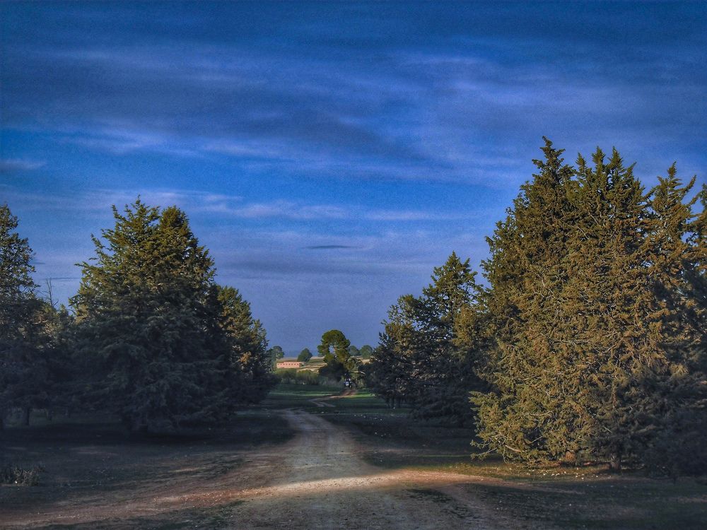 Photograph by Douila Abdelghani