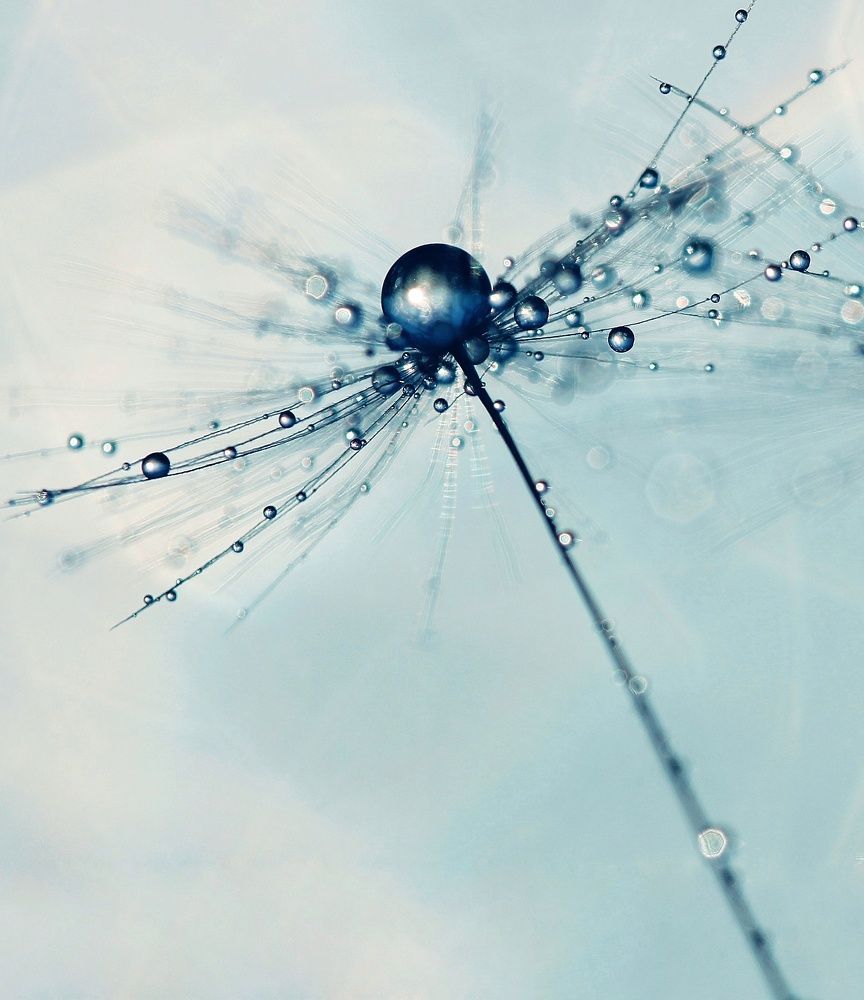 Photograph by Наталия Долганова