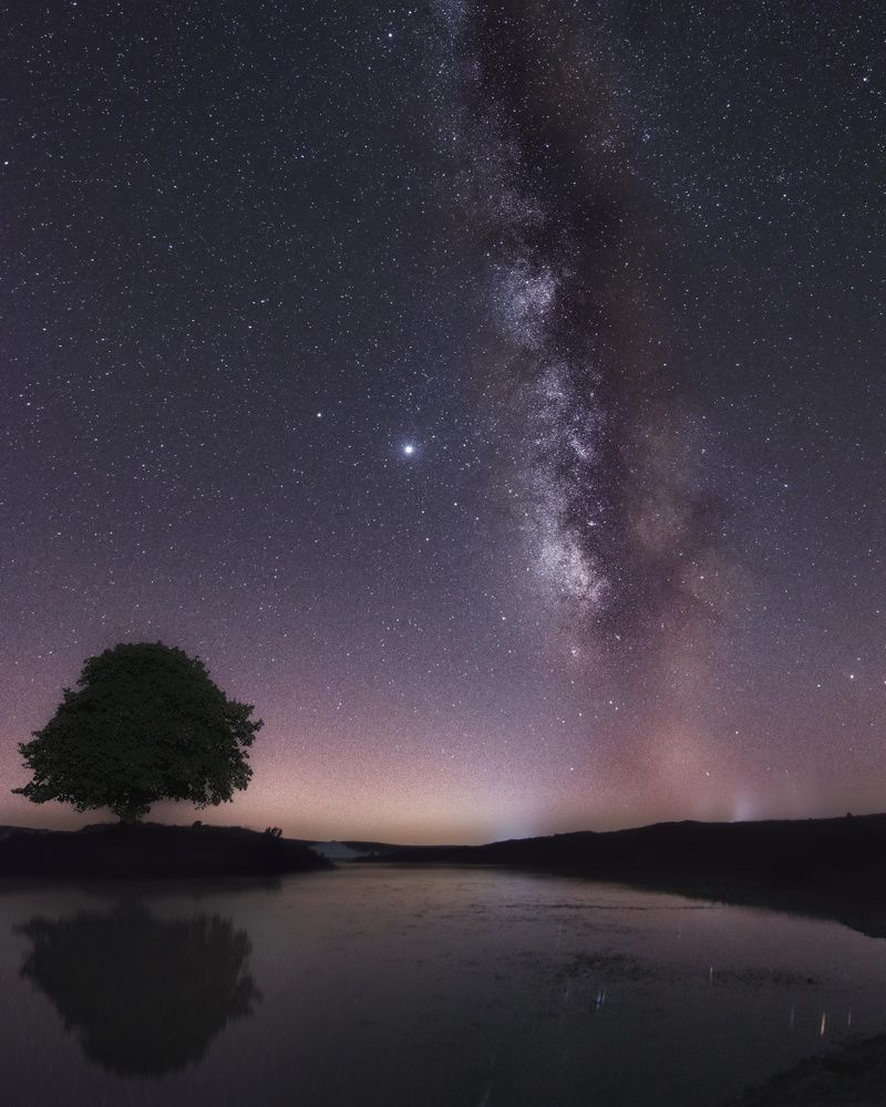 Photograph by nesa babaie