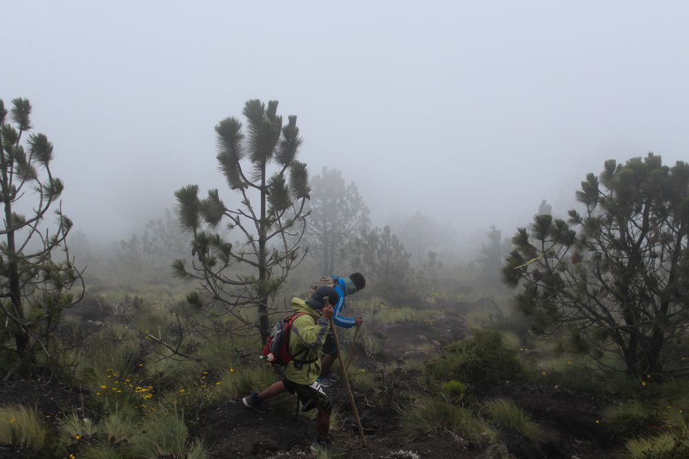 Photograph by Luis Par