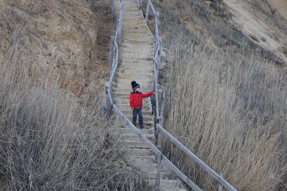 Photograph by Малиновська Олександра