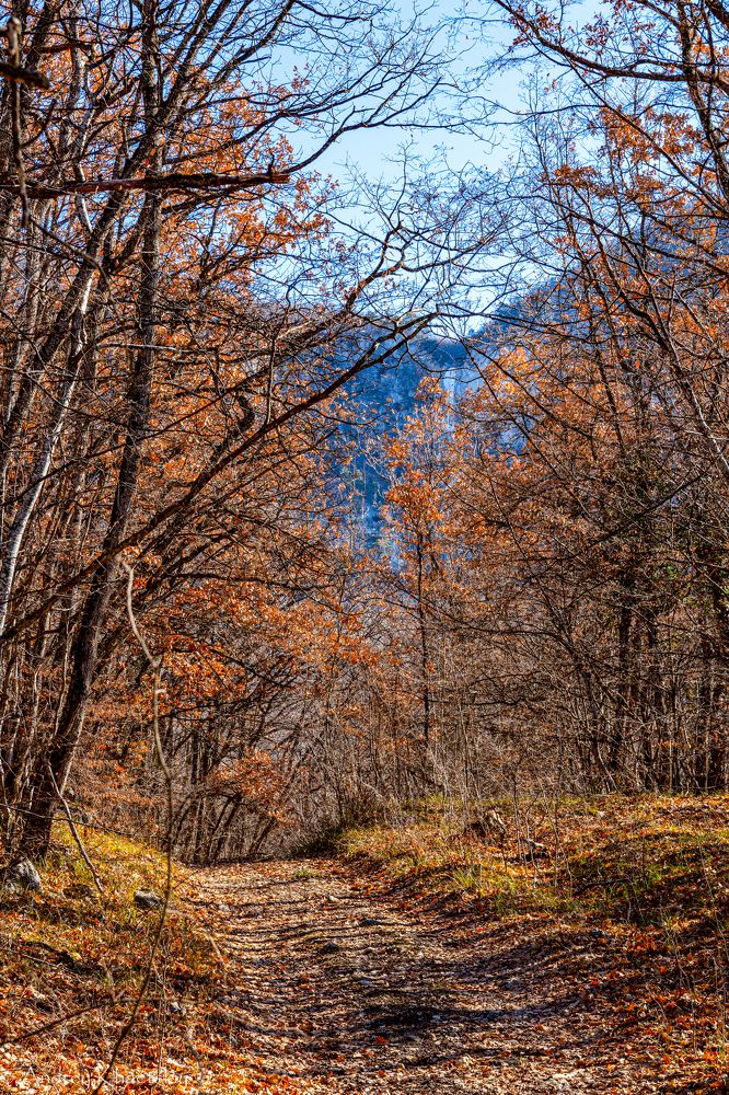 Photograph by Андрей Хаецкий