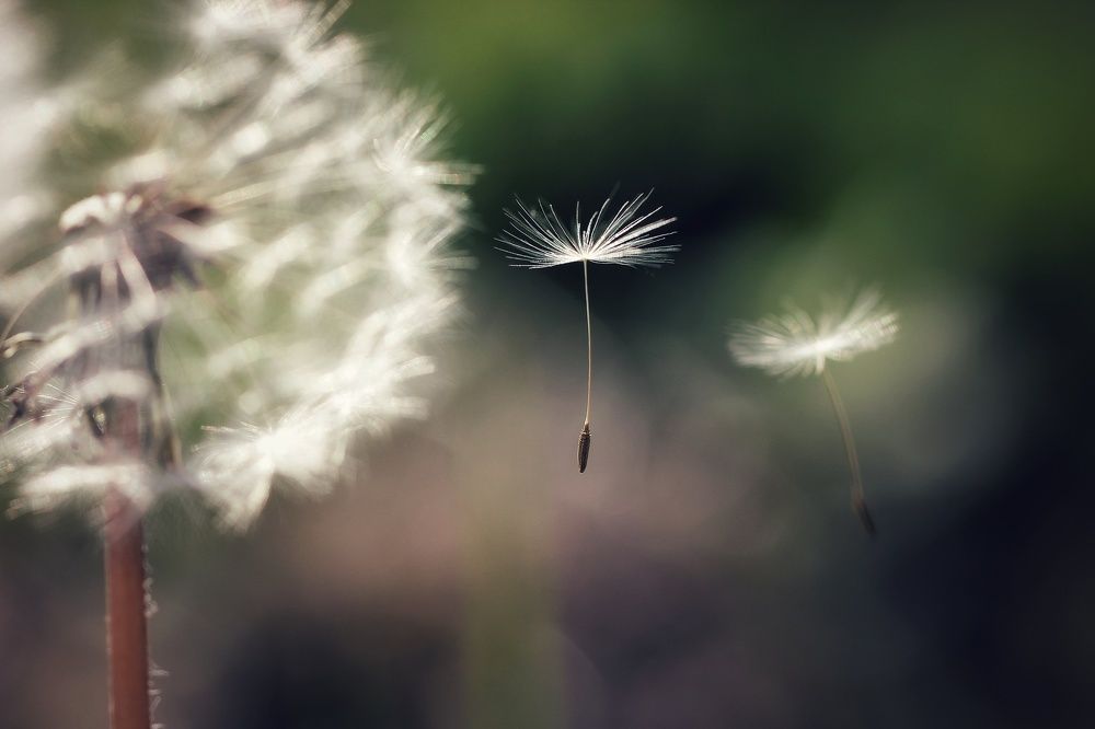 Photograph by Наталия Долганова