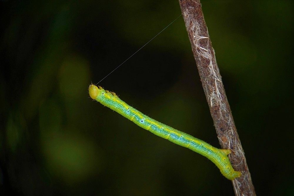 Photograph by Dharmendra Padhiyar